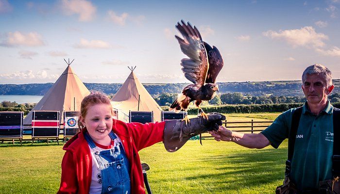 Perriswood Archery & Falconry Centre